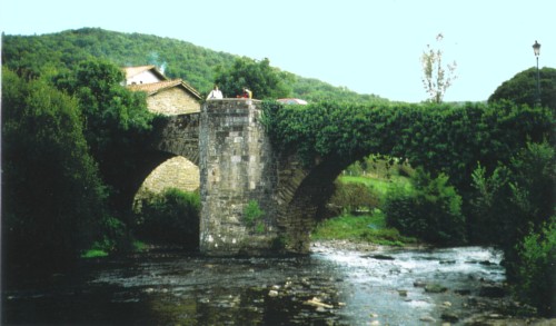 Tollwutbrücke in Zubiri